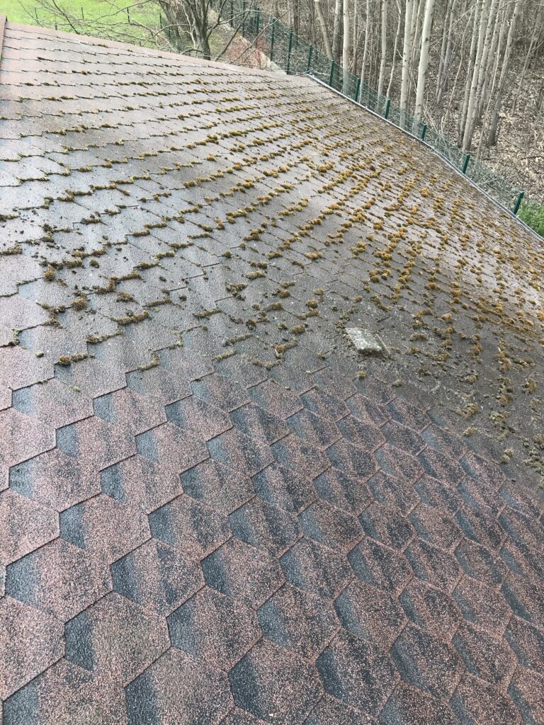 Mycie i konserwacja poszycia dachowego, ul. Burleska